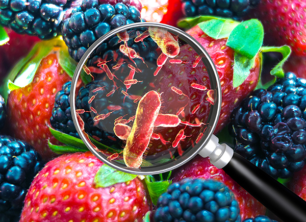 Microorganismos en fruta